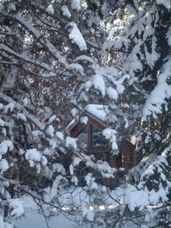 The Studio In Winter